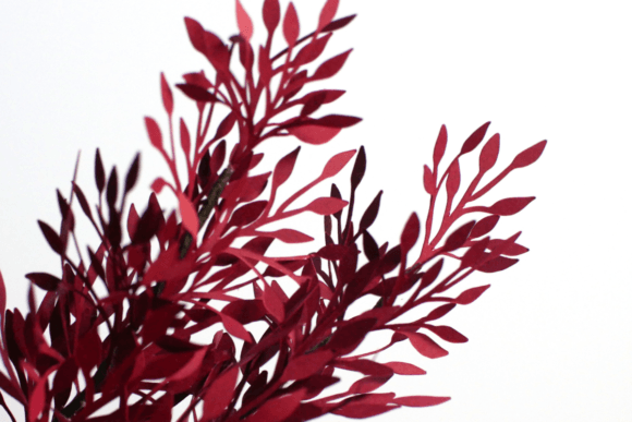 3D SVG Paper Flowers: Leaves Foliage and Fillers